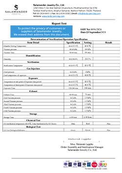 STERILIZE LOT 0856 (2024-09-23)